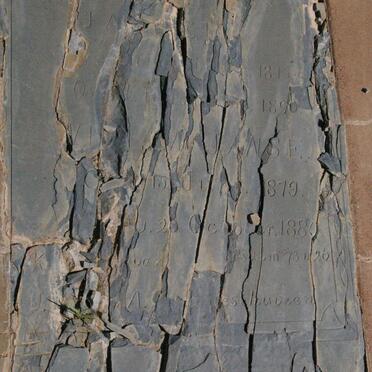 JANSE ? 1815-1890 :: JANSE ? 1819-1880