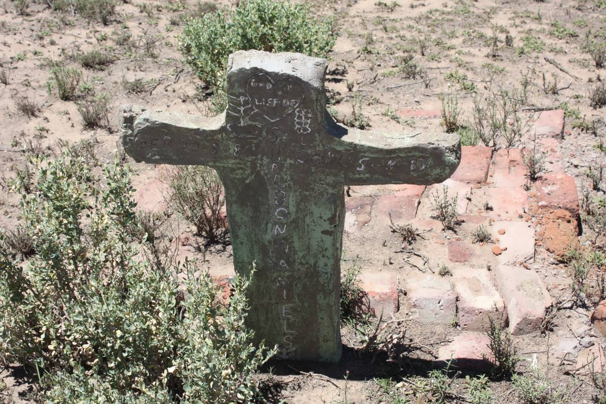 DANIELS Sheldon 1984-1987