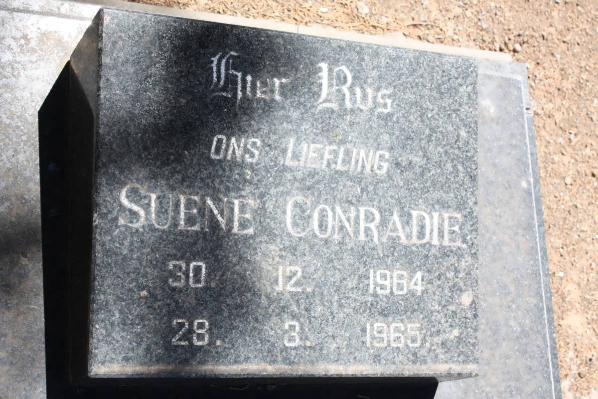 CONRADIE Suene 1964-1965