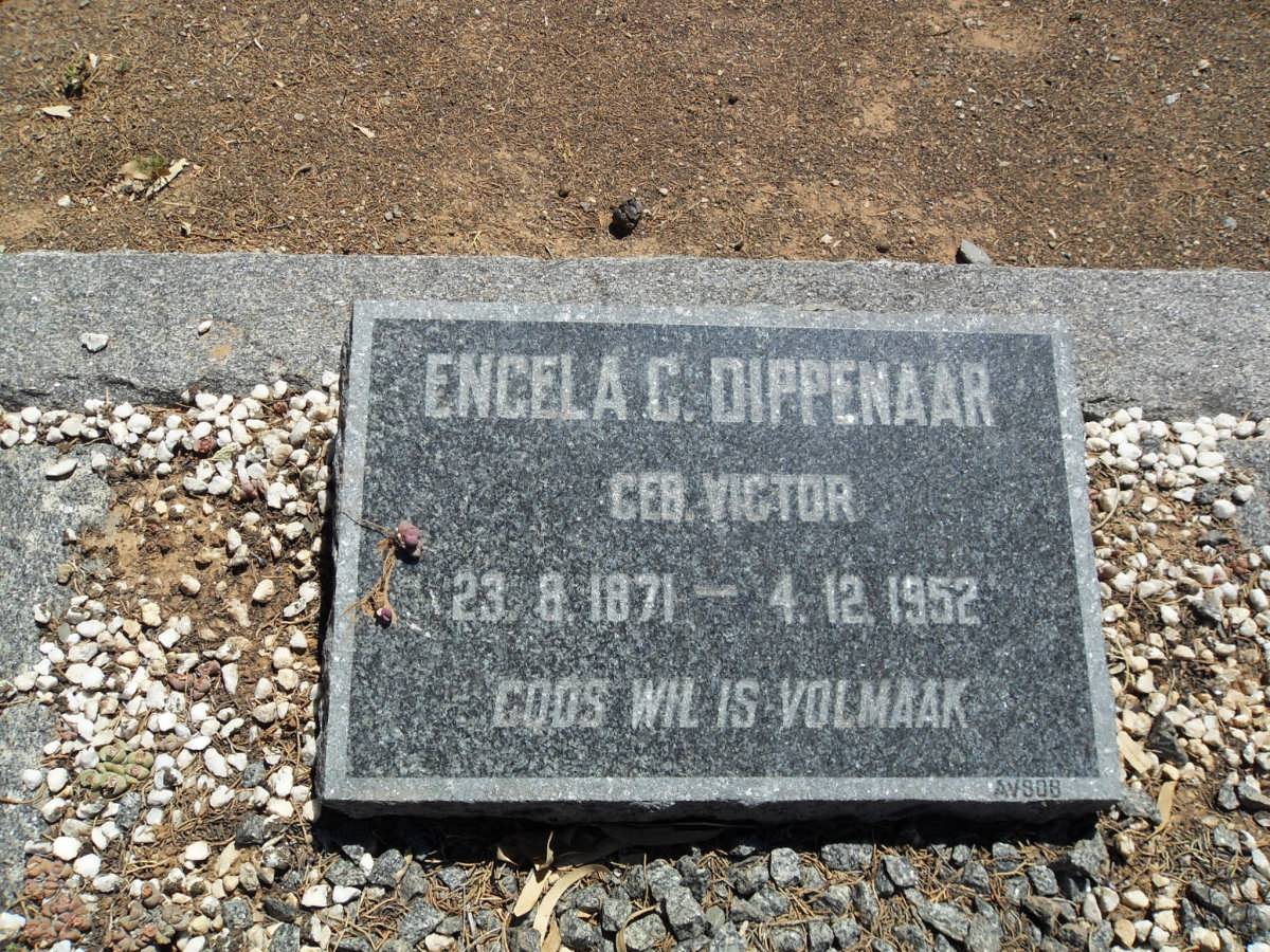 DIPPENAAR Engela C. nee VICTOR 1871-1952