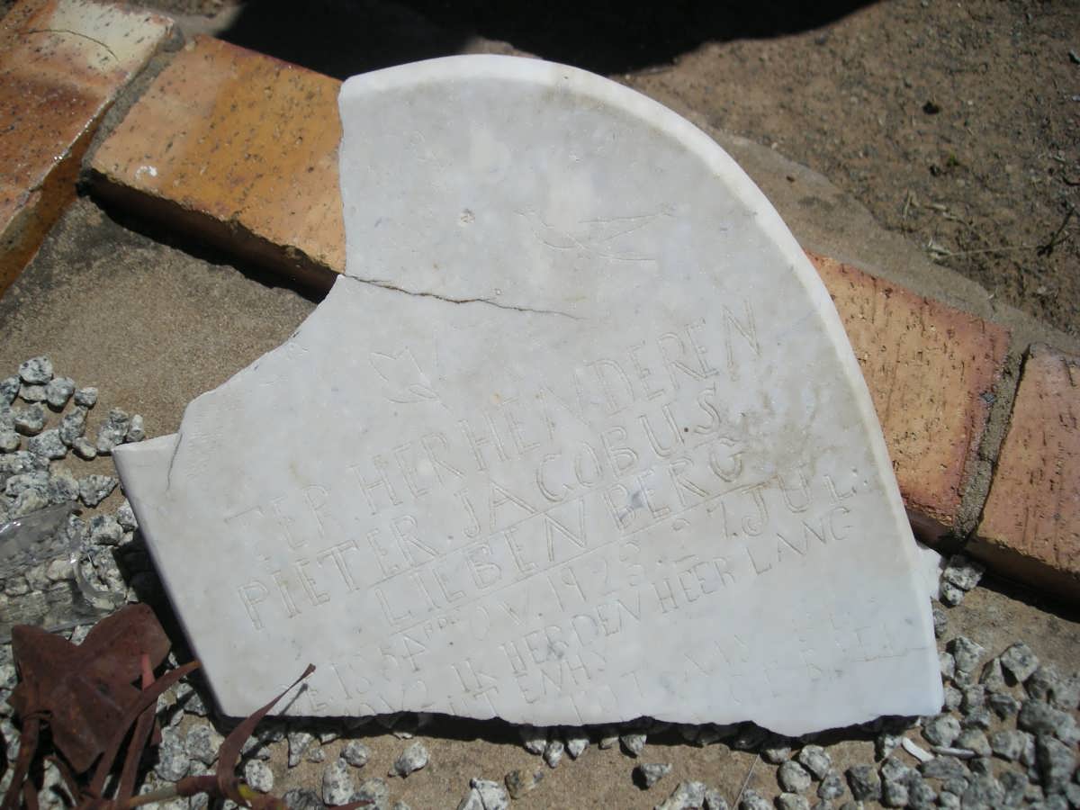 LIEBENBERG Pieter Jacobus 1854-1923