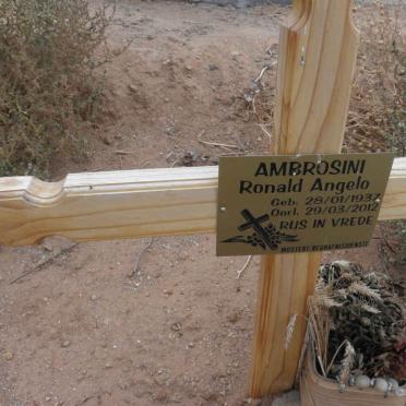 AMBROSINI Ronald Angelo 1937-2012