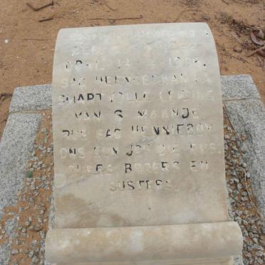 HANEKOM Hendrik J. 1962-1966