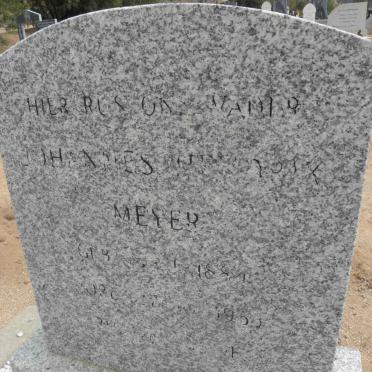 MEYER Johannes Hendrik 1884-1953