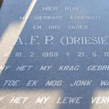 NIEKERK F.P., van 1959-1991