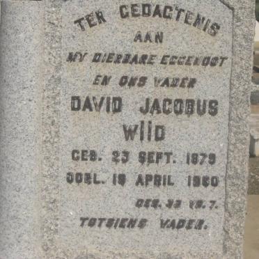 WIID David Jacobus 1879-1960