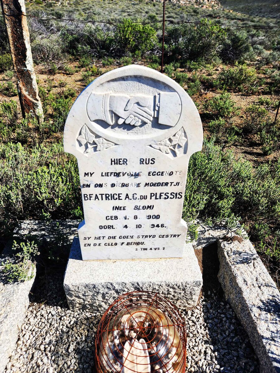 PLESSIS Beatrice A.C., du nee BLOM 1900-1946