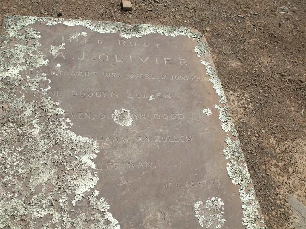 OLIVIER A.J. 1856-1901