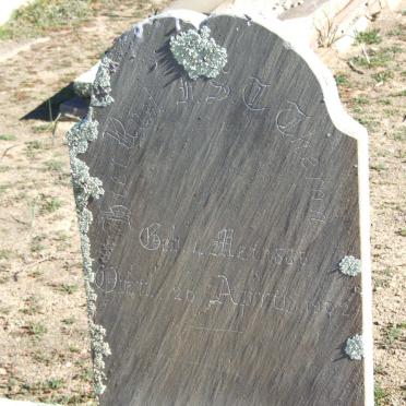 THERON H.S.T. 1885-1902