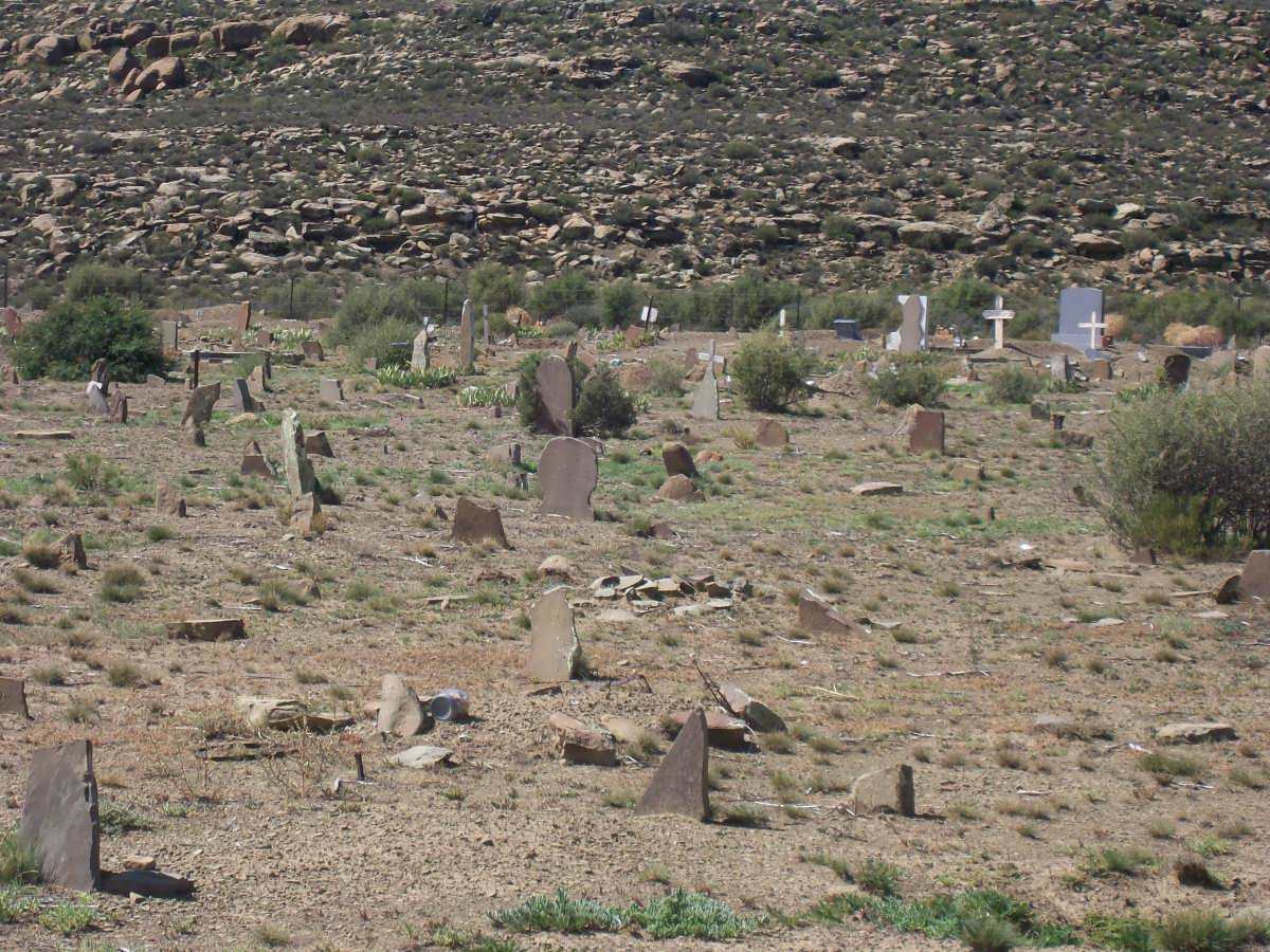 06. Overview of one section of cemetery