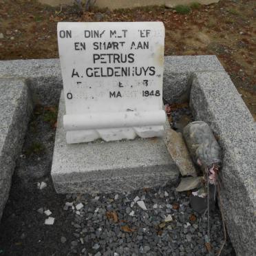 GELDENHUYS Petrus A. 1837-1948