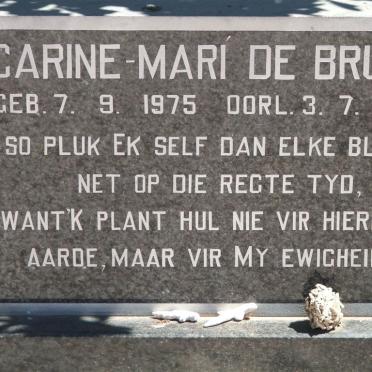 BRUIN Carine-Mari, de 1975-1998