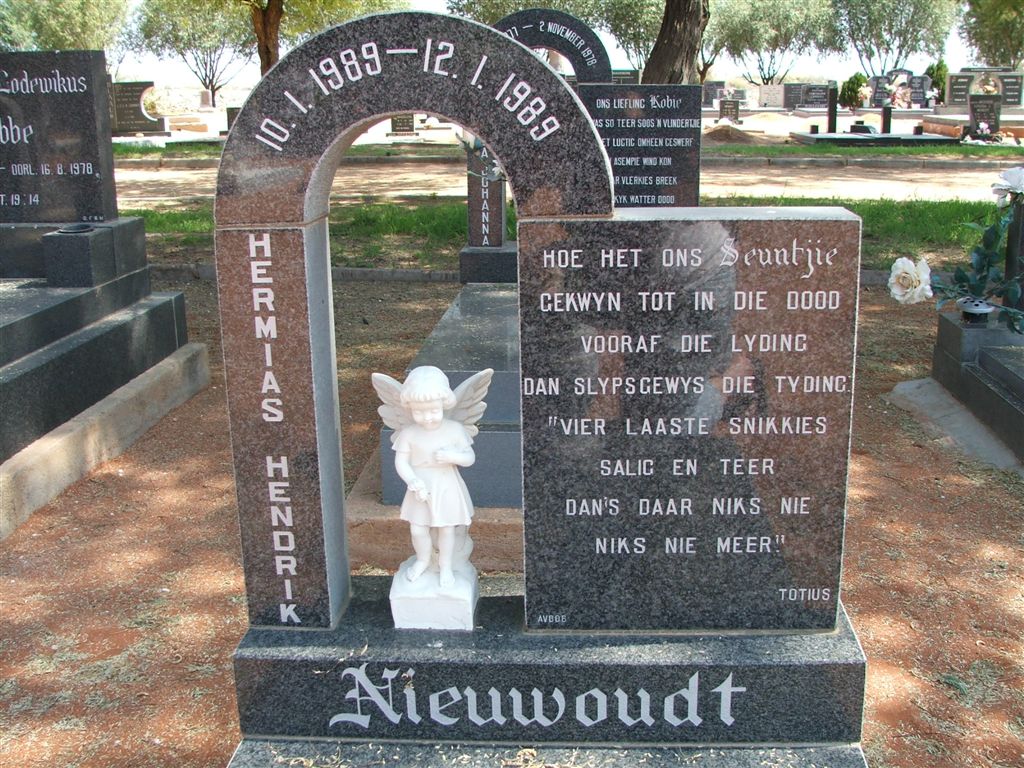 NIEUWOUDT Hermias Hendrik 1989-1989
