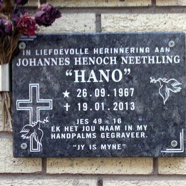 NEETHLING Johannes Henoch 1967-2013