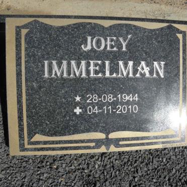 I - Surnames :: Vanne - I