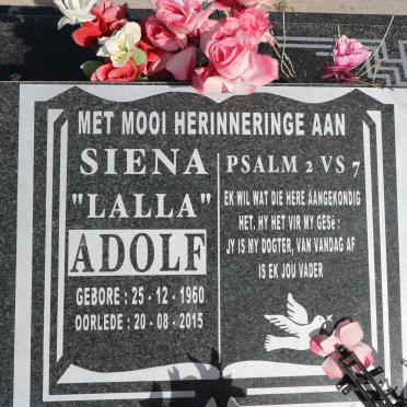 ADOLF Siena 1960-2015