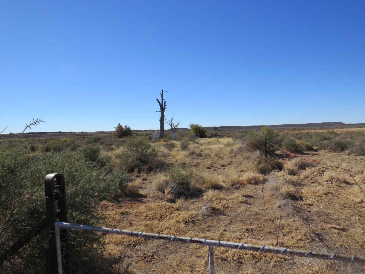 2. Overview / Oorsig