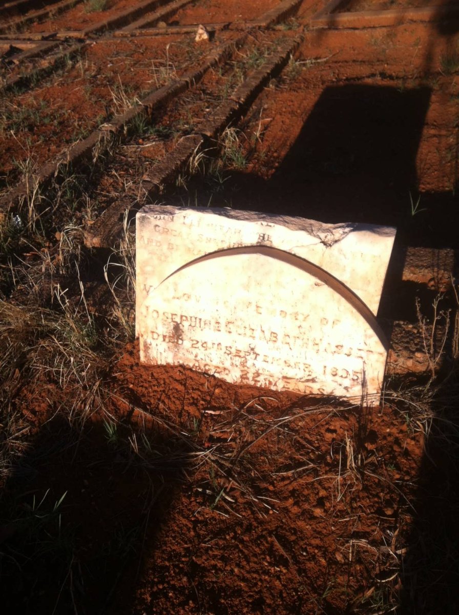 HASSETT Josephine Elizabeth -1895