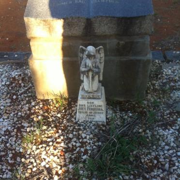 FERREIRA Marthinus J. 1859-1933 &amp; Ann C.W. VAN ROOYEN 1858-1940 :: FERREIRA Joey