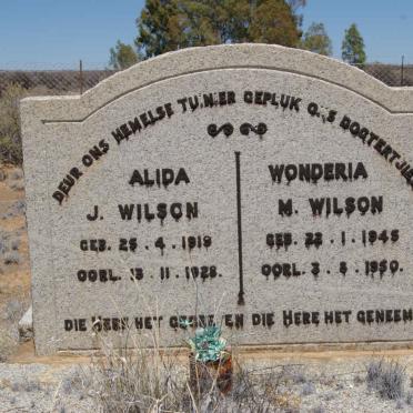WILSON Alida J. 1919-1928 :: WILSON Wonderia M. 1945-1950