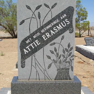 ERASMUS Attie
