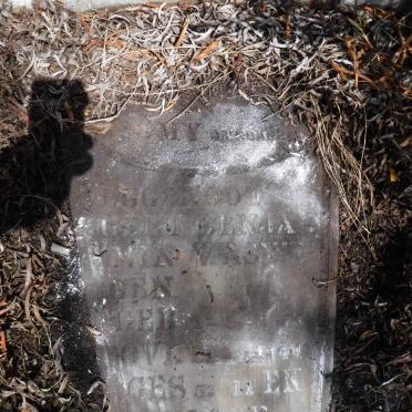 ASWEGEN Gert Benjamin, van