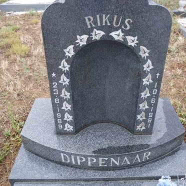 DIPPENAAR Rikus 1989-1991
