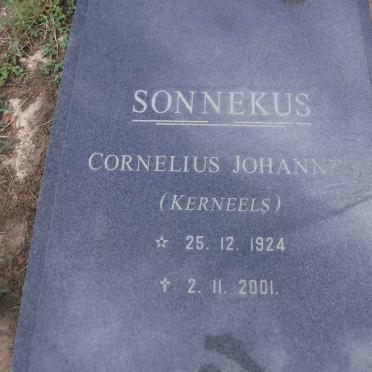 SONNEKUS Cornelius Johannes 1924-2001