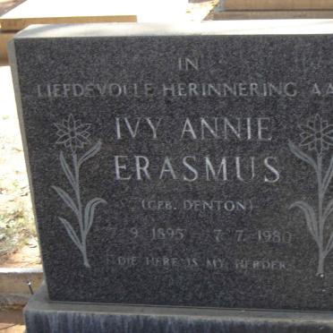 ERASMUS Ivy Anne.