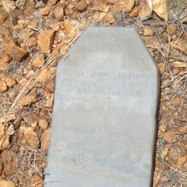 PLESIES Pieter Dawit, die 1867-1941