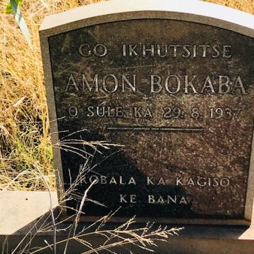 BOKABA Amon -1937