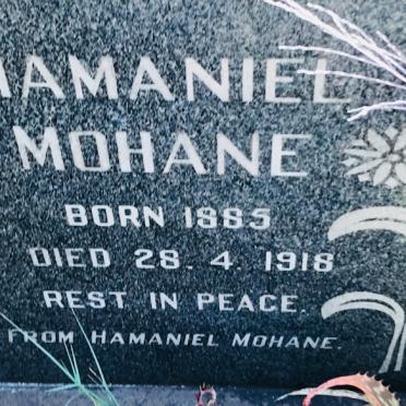 MOHANE ?amaniel 1985-1918
