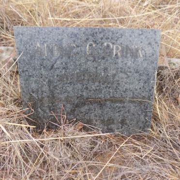 BRINK Annie C. nee MEIRING 1872-1926