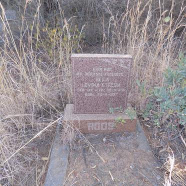 ROOS Heila Levina Etresia nee VAN WYK 191?-1937