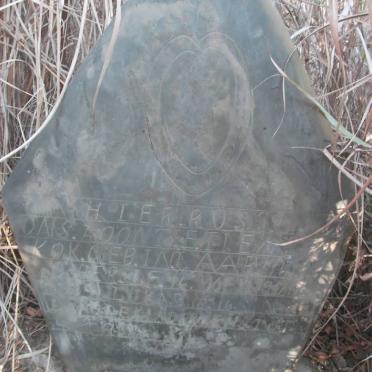 KOK Tienie 1919-1920