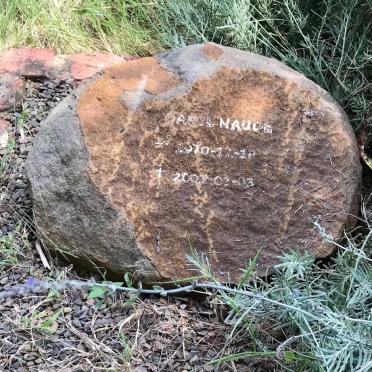 NAUDE Danie 1970-2003