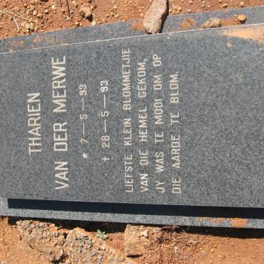MERWE Tharien, van der 1993-1993
