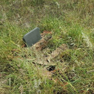 North West, BRITS district, Brits, Hartebeestpoort C 419, single grave