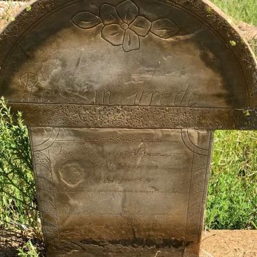 WOLMARANS Jacobus Martinis 1904-1905