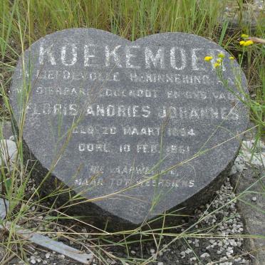 KOEKEMOER Floris Andries Johannes 18?4-1961