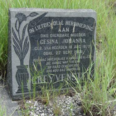 GREYVENSTEIN Gesina Johanna 1872-1958