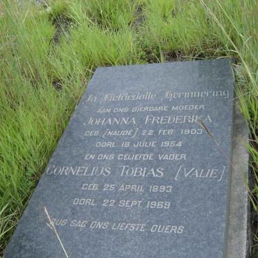 VERWEY Cornelius Tobias 1893-1969 &amp; Johanna Frederika NAUDE 1903-1954