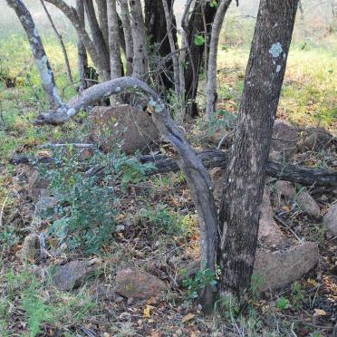 Onbekende grafte 2 en 3