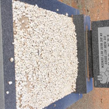 HERBST Willem Christoffel 1974-1975