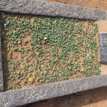 HEERDEN Frederick S.P., van 1952-1952