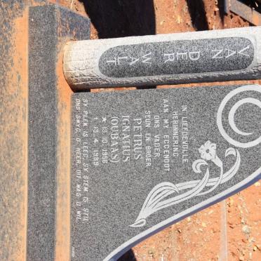 WALT Petrus Ignatius, van der 1956-1989