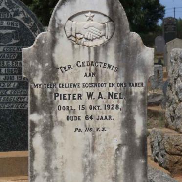 NEL Pieter W.A. -1928