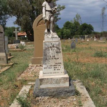 WALSH William -1916 :: WALSH George -1918