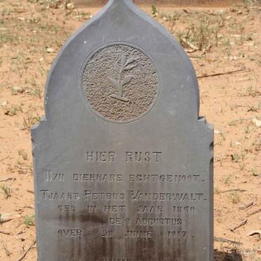 WALT Tjaart Petrus, van der 1890-1917