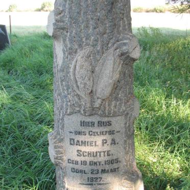 SCHUTTE Daniel P.A. 1905-1927